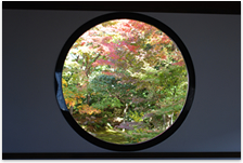 茶室から見た紅葉の写真